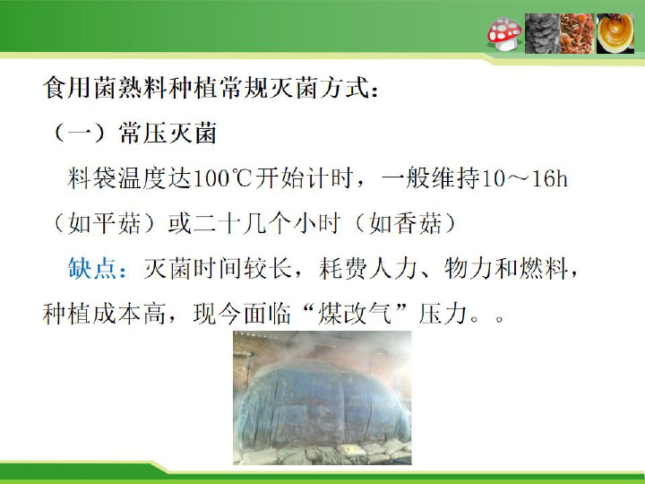 食用菌栽培料瞬時爆破滅菌新技術及平菇栽培應用-4.jpg