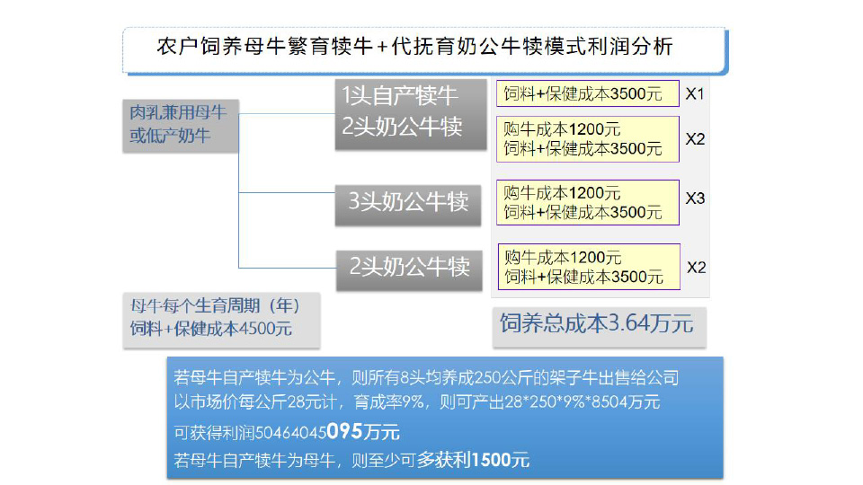 節(jié)-60.jpg